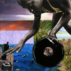 The Vibe Seeker NZ