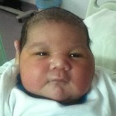 Mayenne Nelkin