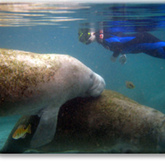 my best friend stEViN