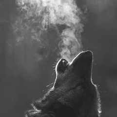 Wolf Pack Howls