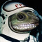 spacegecko