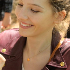Sauvée Wallis