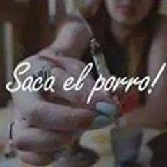 Zsinki Algo Lokos Santos