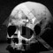 asktherussian