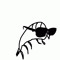 somebadplankton