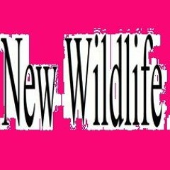 New Wildlife