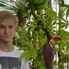 Emil Søland Pedersen