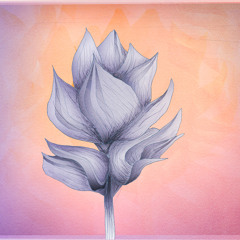 Samphier Movie Night