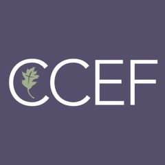 CCEF