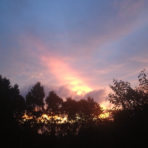 Stream Let's Go Panda music | Listen to songs, albums, playlists for ...