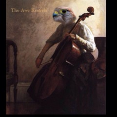 The Awe Kestrels