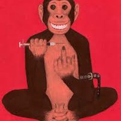 Junkie Monkey