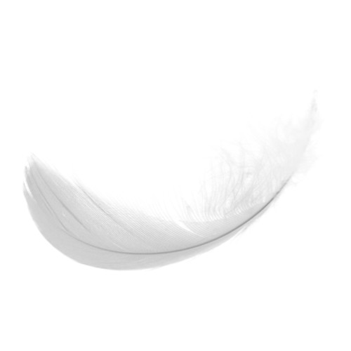 Slight Feather’s avatar