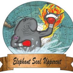 Elephant seal uppercut