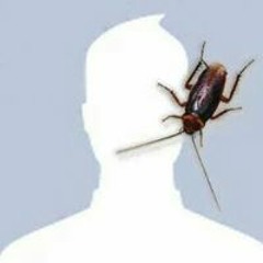 Ravick Altheacacia