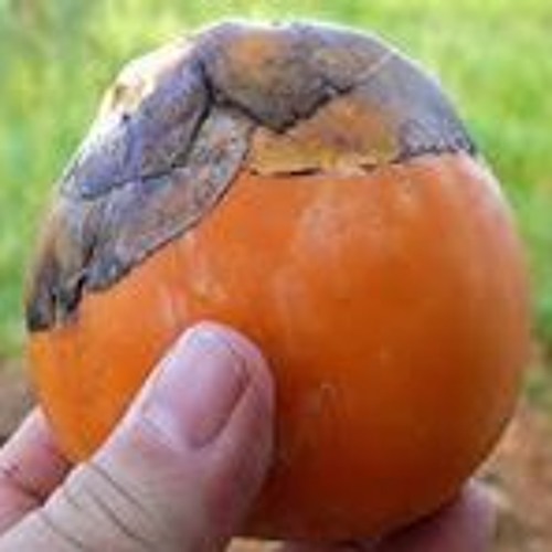 Stream ёэх ёэцъёэцшёэцщёэцжёэцхёэцнёэцж ёэхнёэцаёэх ёэхмёэх ёэхм ёэх ёэх ёэхпёэца Music Listen To So