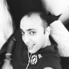 major hans reinhardt