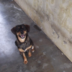 isaaccbral