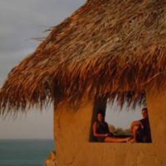 Maria Teresa Falcone