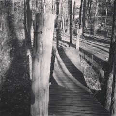 Andrew Miller Productions