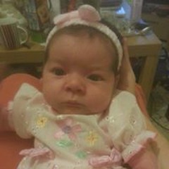 Stephen Lee Spreadbury