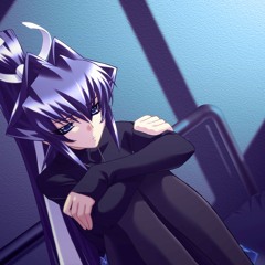 zencat ^_^