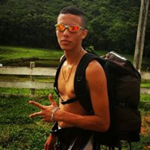 Luucas Pereira’s avatar