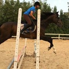 Ahmed Mousa balance gym new