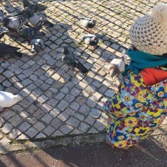 Nuno Castilho de Matos