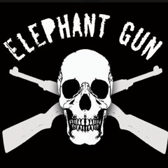 Elephant Gun