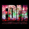 Actionista EDM