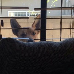 =]