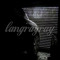 langrayray