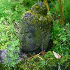 Music by Marie Claire