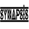 Synapsis