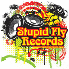 Stupid Fly Records