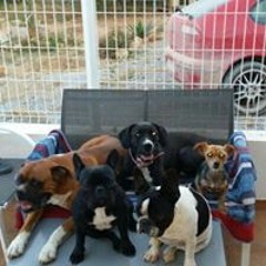 Silvia Berrocal Serra