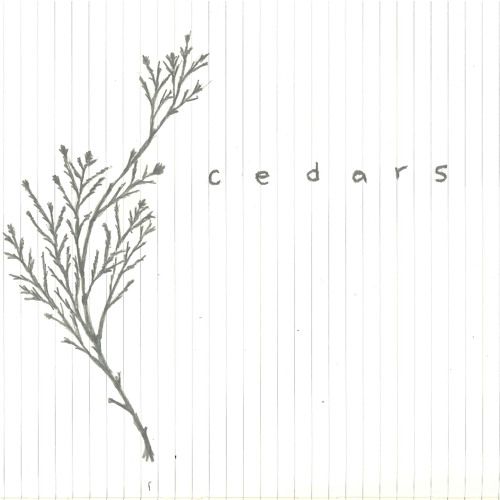 Cedars’s avatar