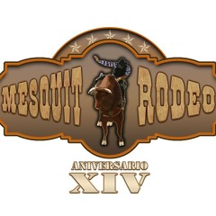 Mesquit Rodeo Oficial