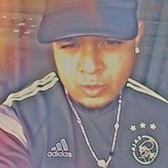 Servinio Wijnstein-bos