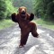 The Dancing Panda
