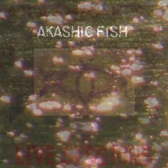 Akashic Fish Sessions