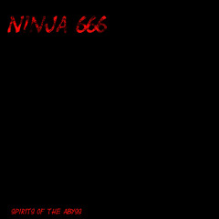 Ninja 666
