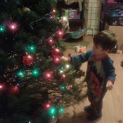 Nicole Beebe Schmidt