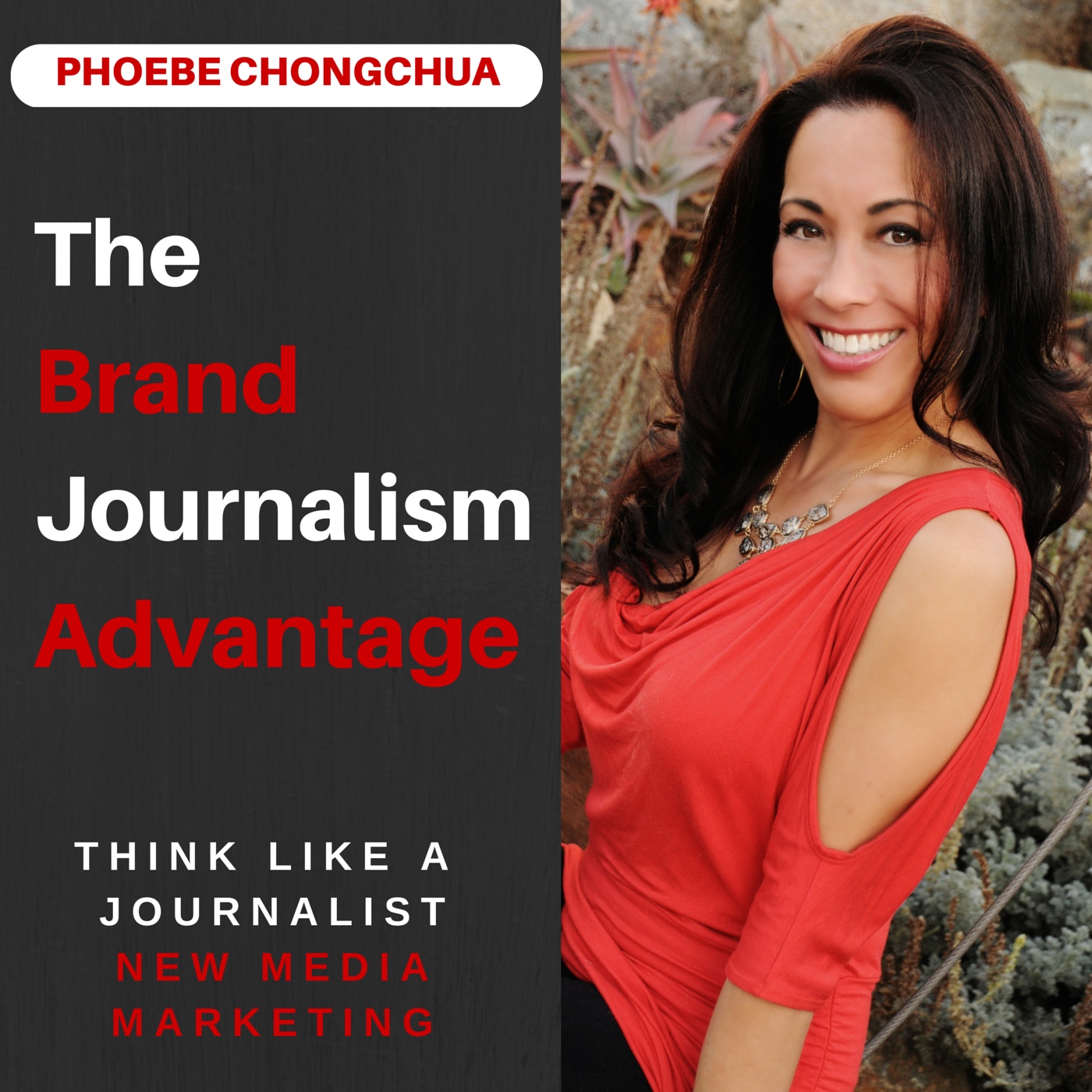 ThinkLikeAJournalist podcast artwork
