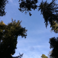 Maternal Grandfathers