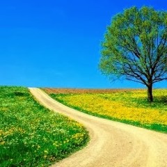 يريدون رحيلم