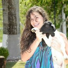 Ariel Monteiro