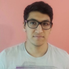 Arash Outadi