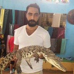 Khaled Mahrous
